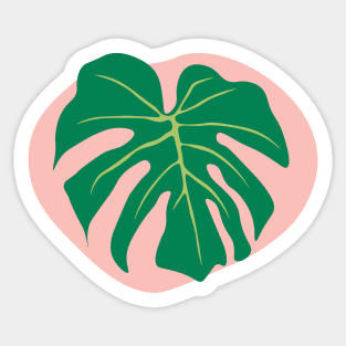 Monstera Deliciosa Leaf | Gifts for plant lovers Sticker